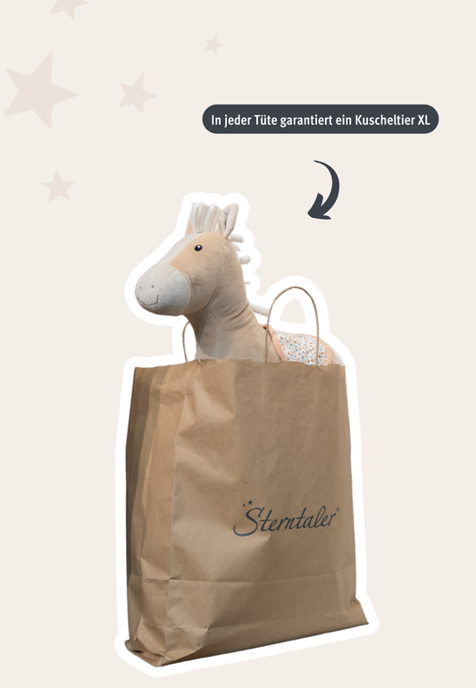 Sterntaler Wundertüte Mädchen