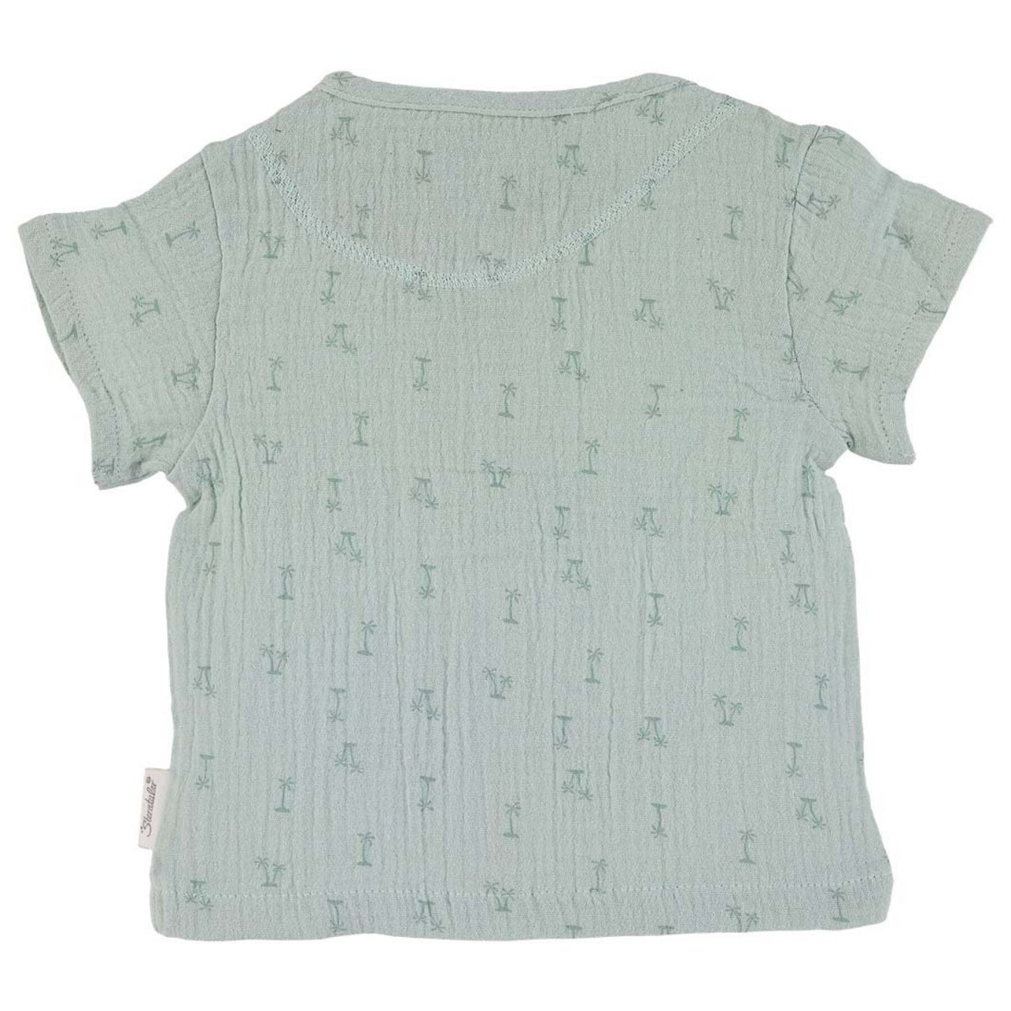 Conjunto de camisa y pantalones cortos