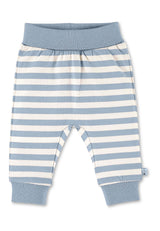 gray-blue