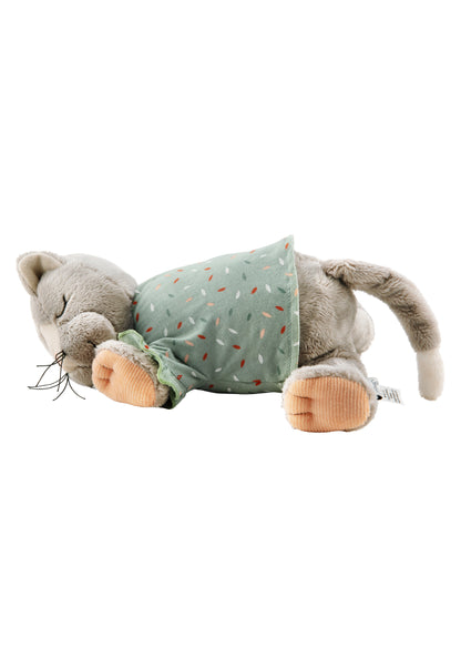 Einschlafhilfe Sound Modul