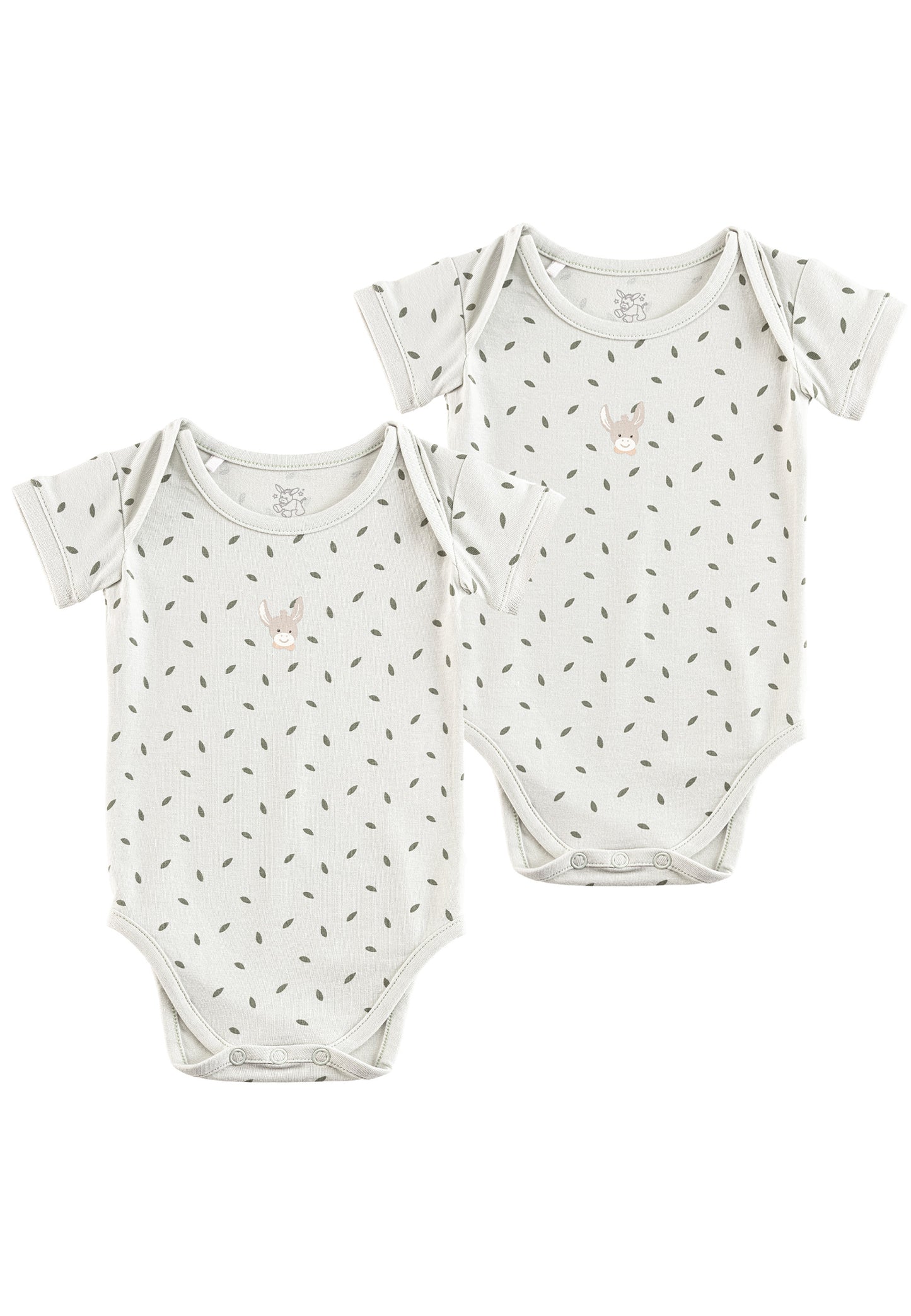 Set Bodys im DP Blätter