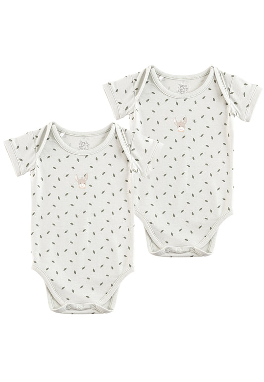 Set Bodys im DP Blätter