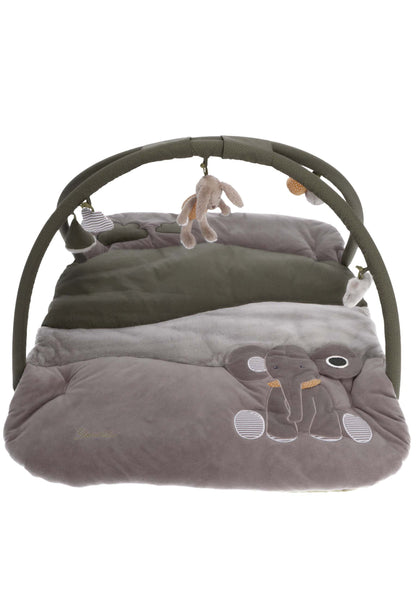 Baby Gym