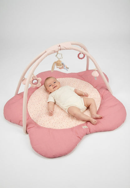 Pequeño gimnasio