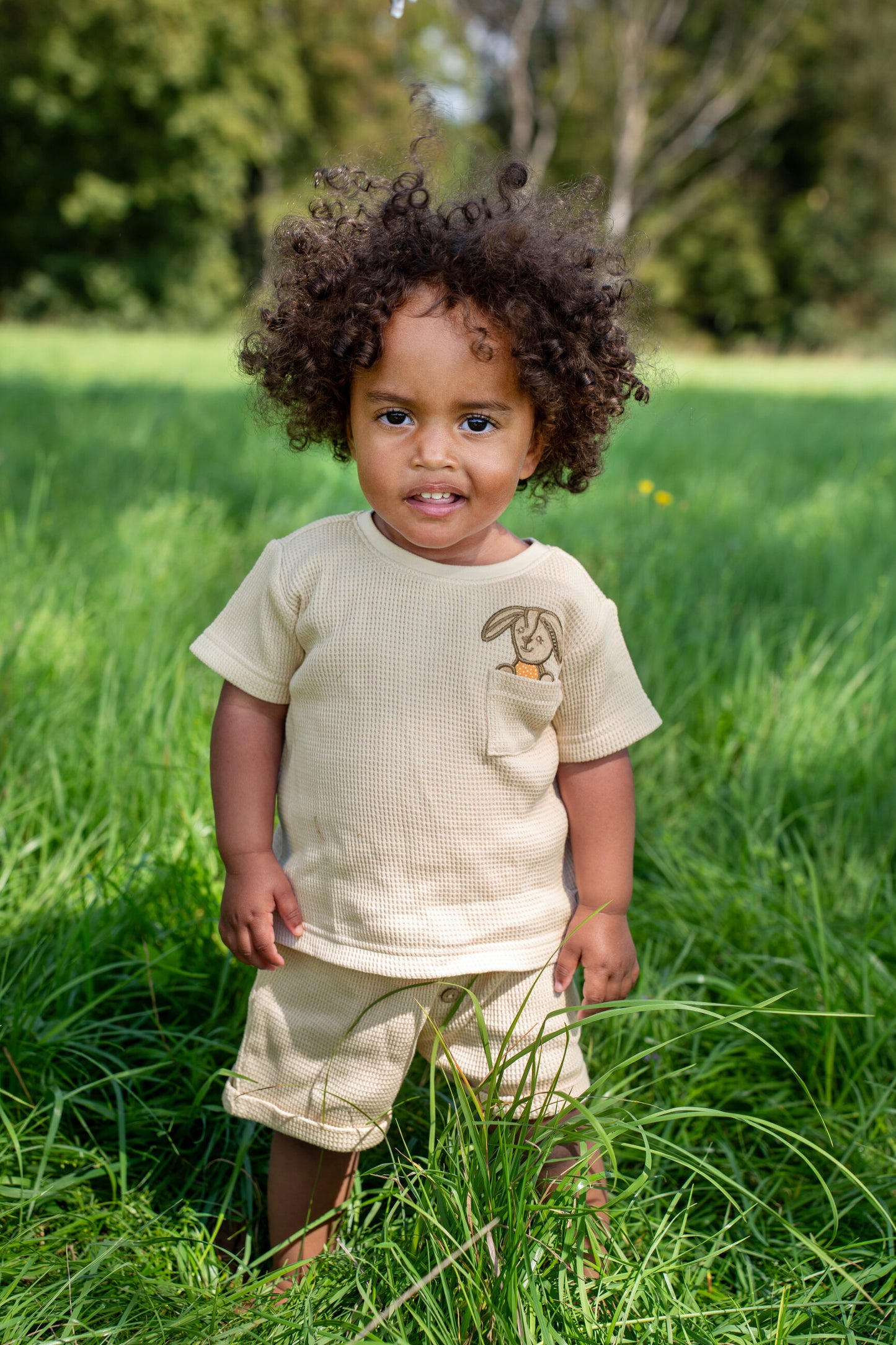Short-sleeve shirt